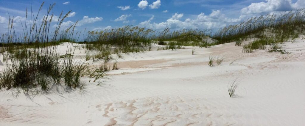 Anastasia State Park White sand Beaches